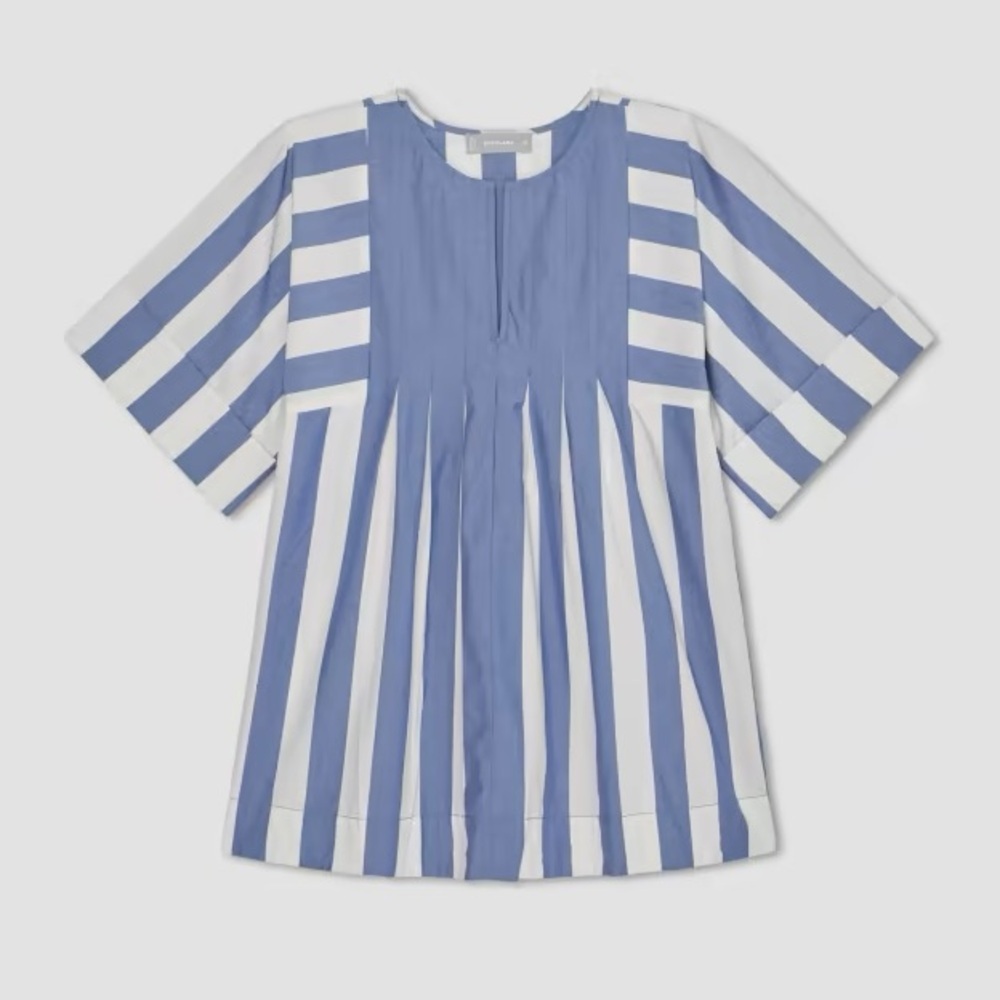 Everlane The Poplin Tunic MAZARINE BLUE / BONE